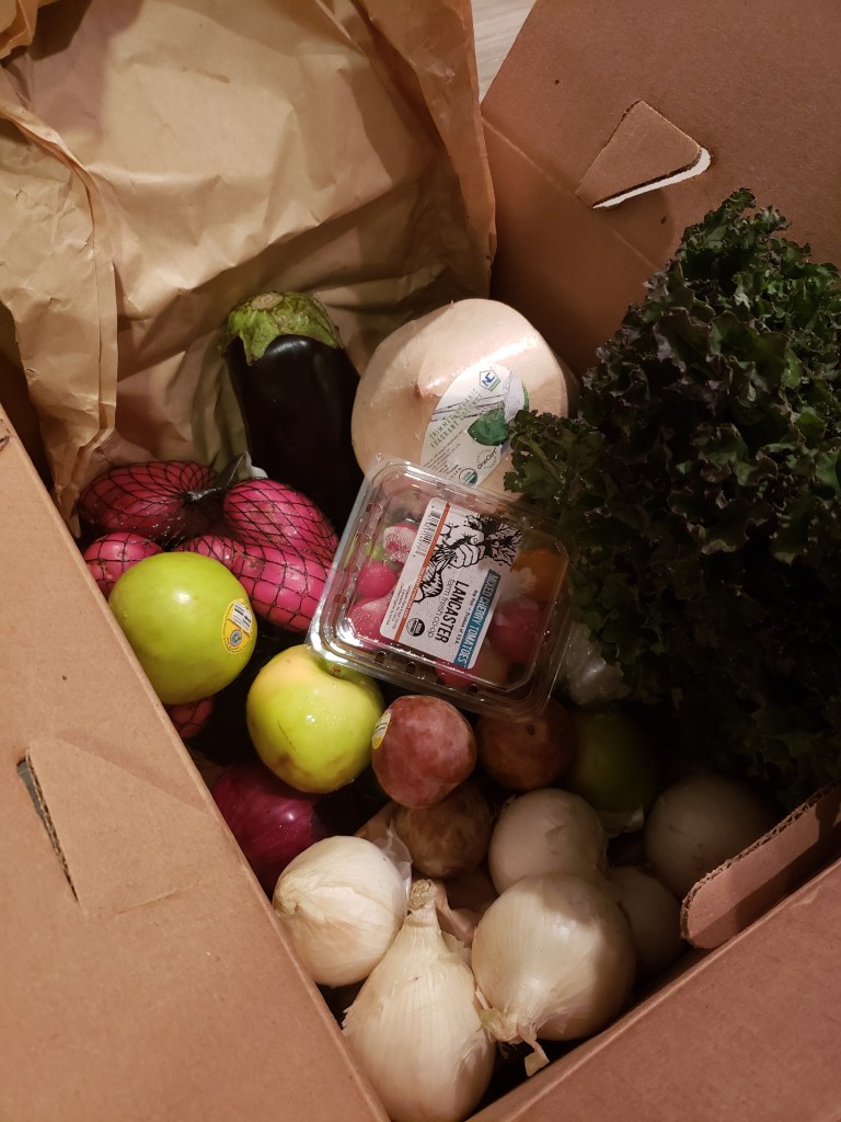 Red potatoes, eggplant, white coconut, red leaf lettuce, white onions, pluots, green apples and cherry tomatoes.