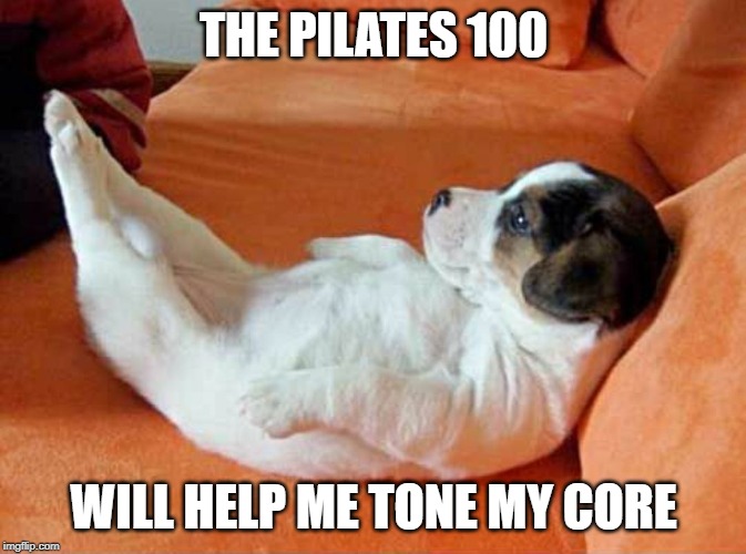 Puppy does Pilates.
