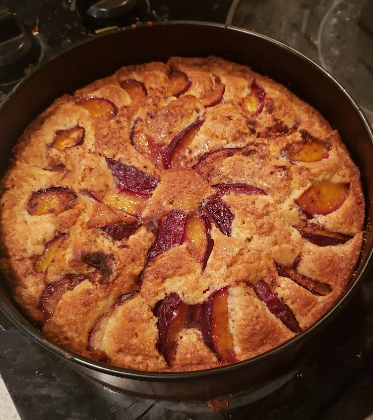 Fresh Plum Cake
