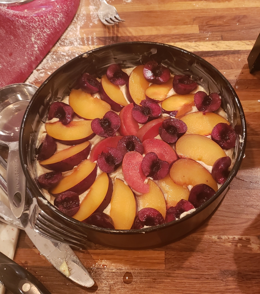 Unbaked cake with cherries, pluots and plums arranged decoratively on top.