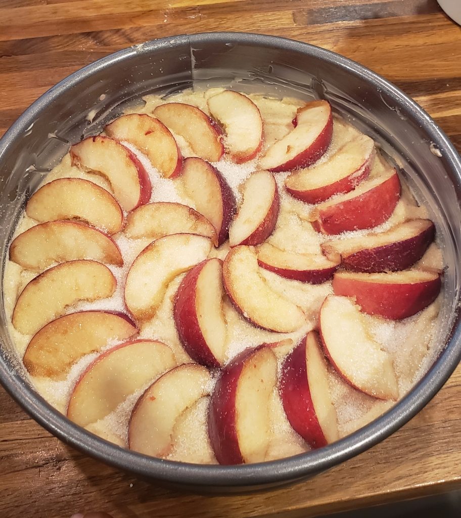 Nectarine slices are arranged in a pretty pattern on top of the cake batter before baking.