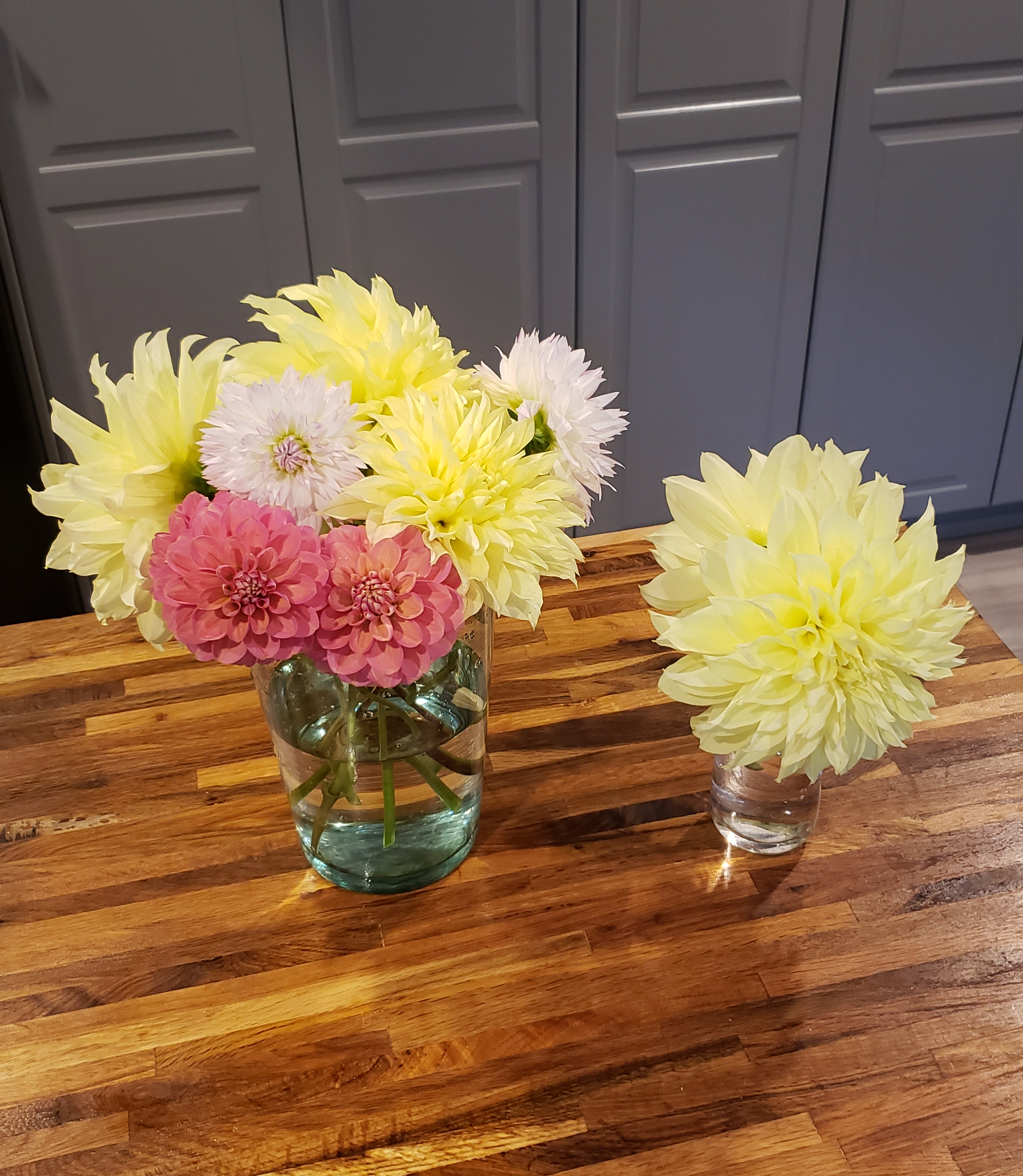 Three types of dahlias I grew this summer/fall: Pink Milena, large yellow Kelvin Floodlight, and an unnamed purple-tipped white variety.